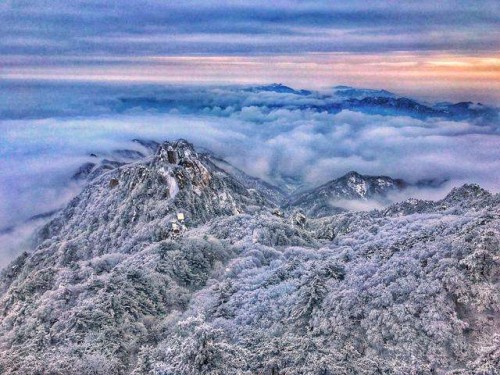 20190425262124.jpg 3.jpg