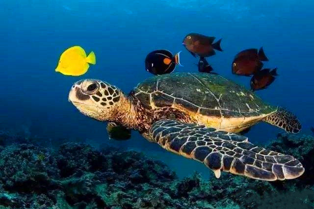 20190425358752.jpg timg (1)_副本.jpg