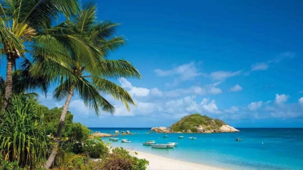 20190619313521.jpg 1.jpg