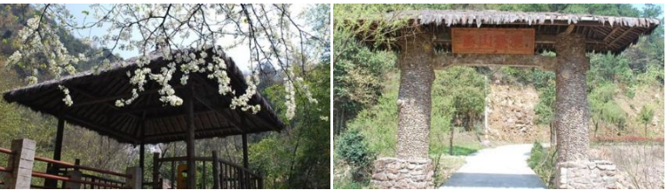 20190710943842.png 微信图片_20190710152820.png