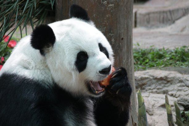 20190812876963.jpg t0103981c39ca78410c.jpg