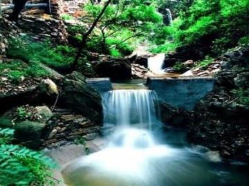 20200511396519.jpg 360x269c.jpg