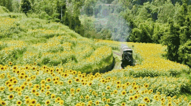 20200722294101.gif 微信图片_20200722160443.gif