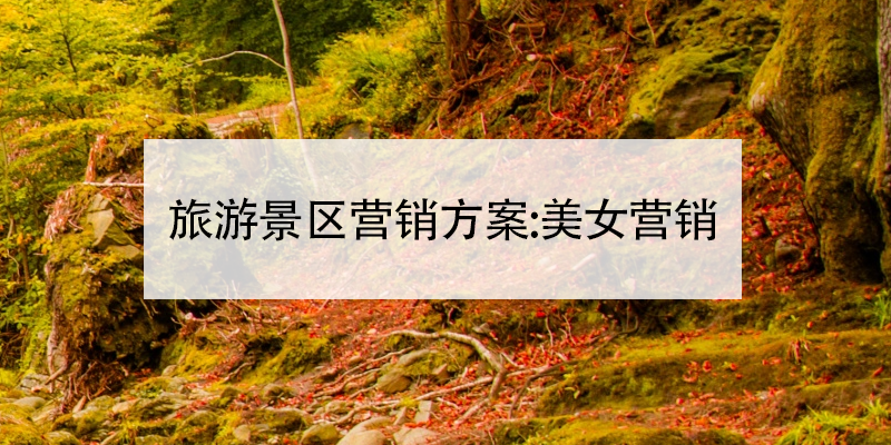 旅游景区营销方案:美女营销 旅游景区营销方案:美女营销