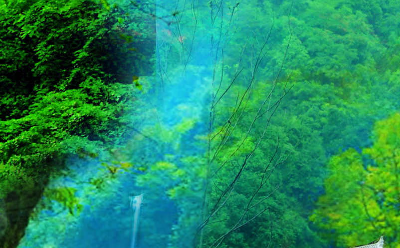 景区一卡通票务系统方案 景区一卡通票务系统方案