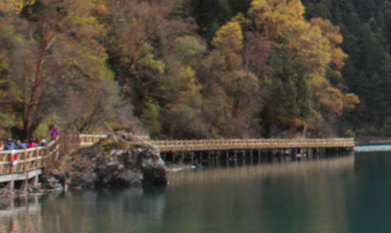 新媒体营销 新媒体营销