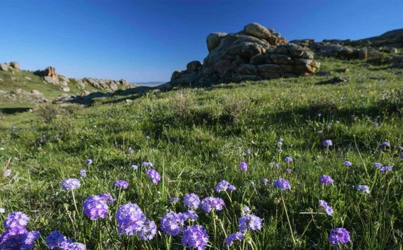 1638414134382491.jpg 2.jpg