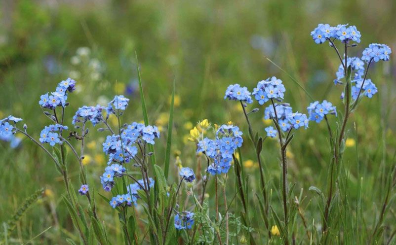 1638414176885086.jpg 7.jpg