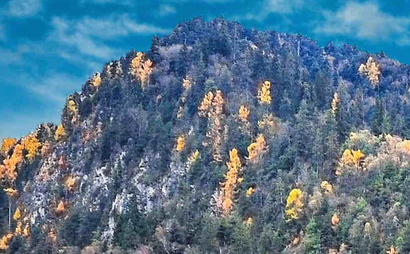 景区项目开发 景区项目开发