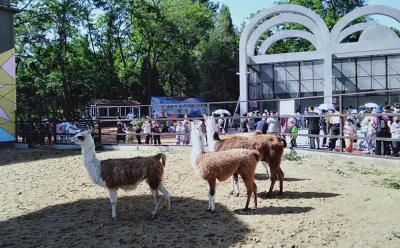 1639362487261505.png image.png