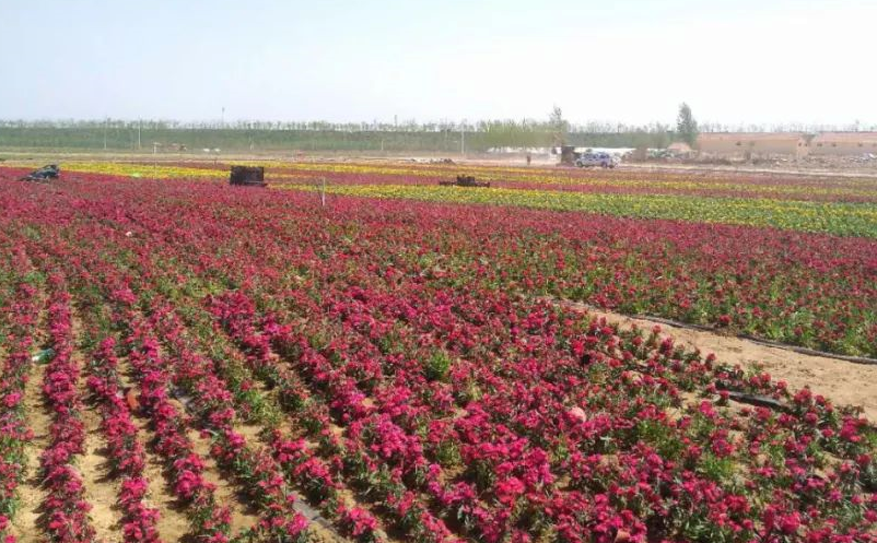 1641366033433422.png 图片.png