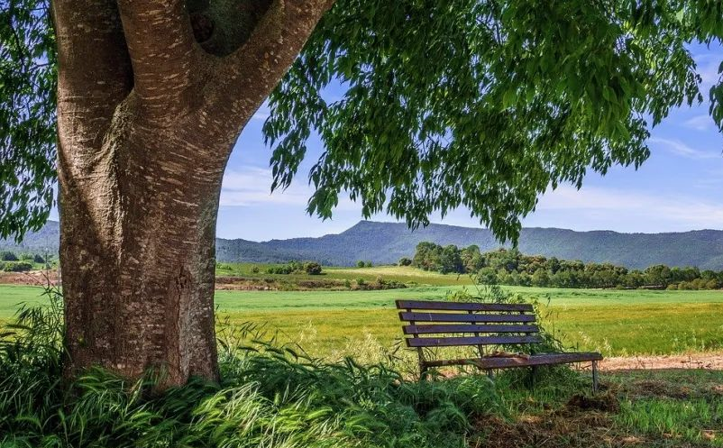 1641366050556737.png 图片.png