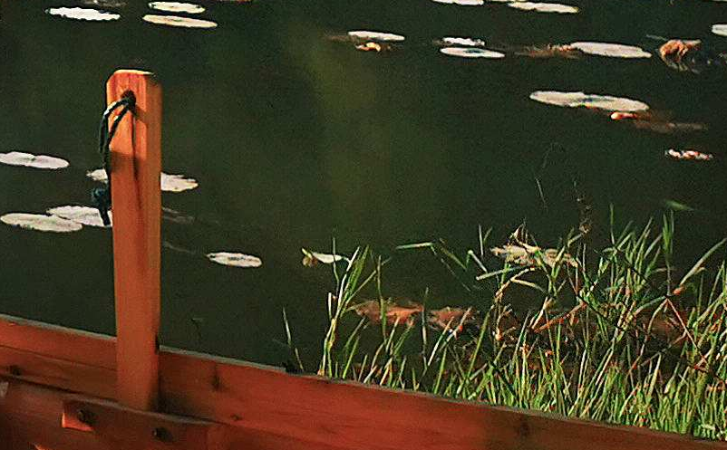 1641441983962255.png image.png