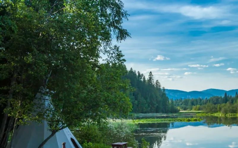 1642908856837585.png image.png