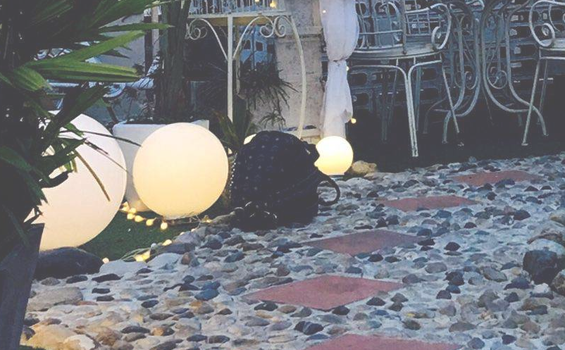 景区参与感提升提升 景区参与感提升提升