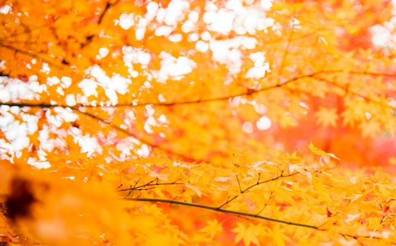 景区票务信息化建设 景区票务信息化建设