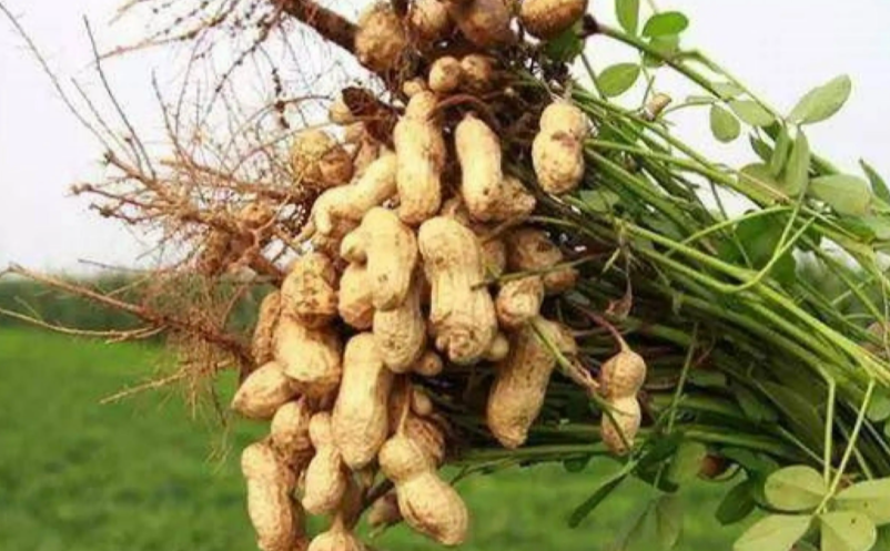 1647333670887416.png image.png