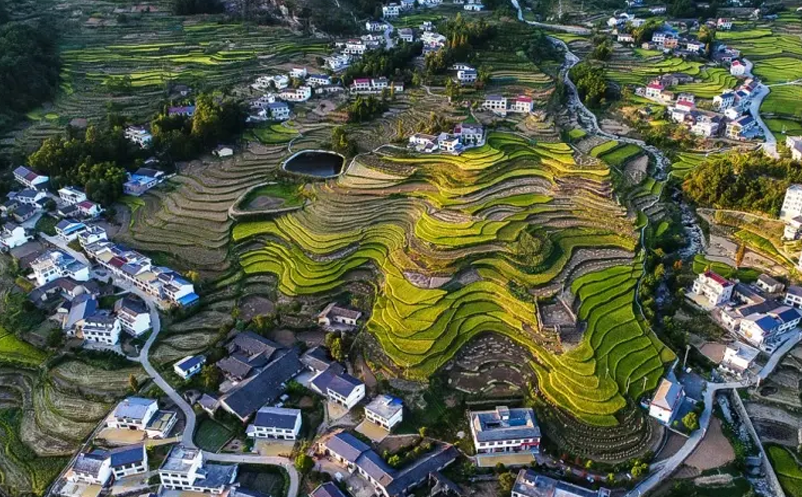 1648092125672653.png image.png