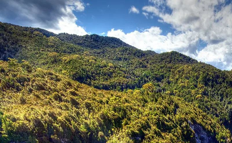 1648796675862304.png image.png