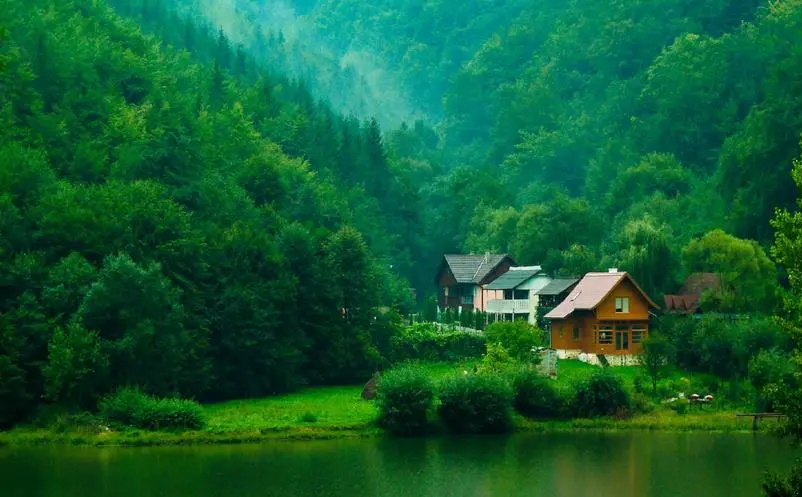 1653373837109617.png image.png