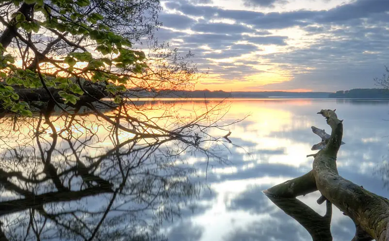 1653375173723236.png image.png