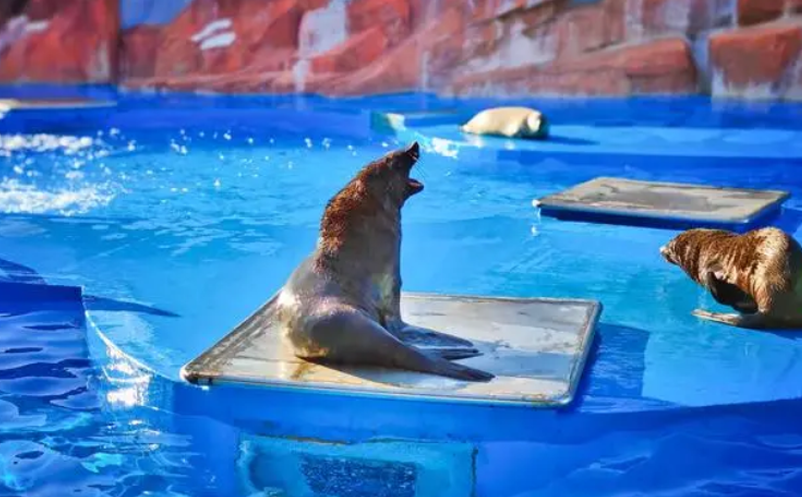 1653555833877327.png image.png