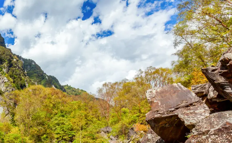 1654066408432298.png image.png