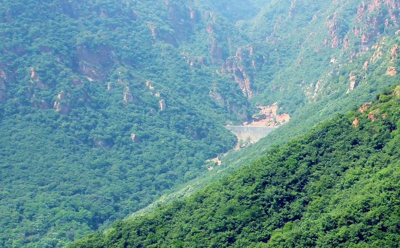 1654677996674590.png image.png