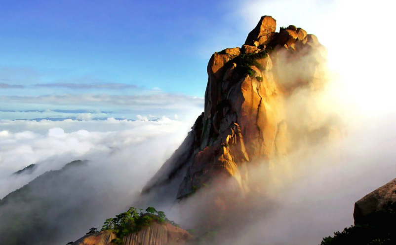 1655697912996721.png image.png