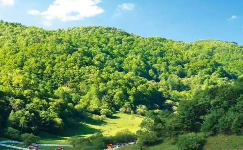 1656926607706913.png image.png