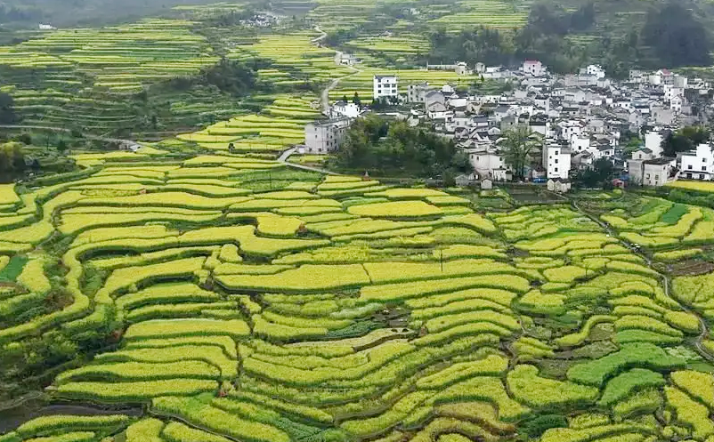 1656993277102764.png image.png