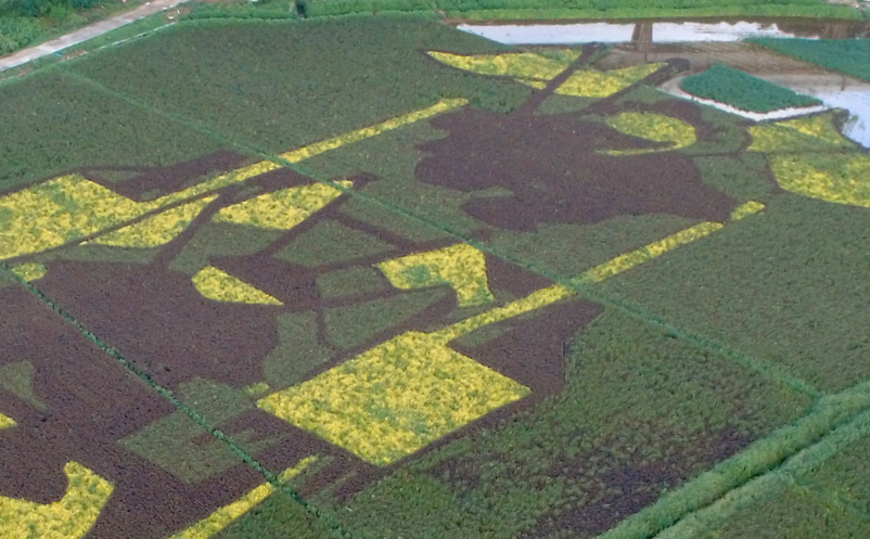 1658306685367215.png image.png