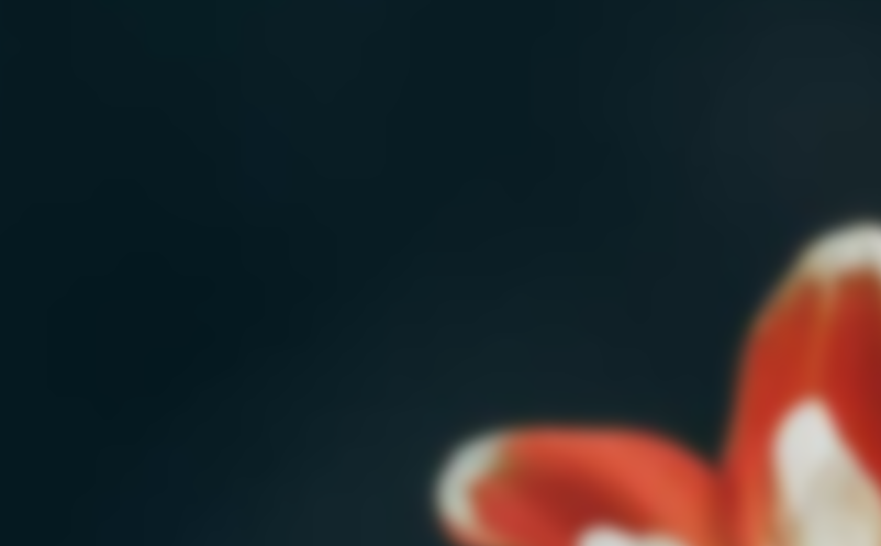 微信票务系统 微信票务系统