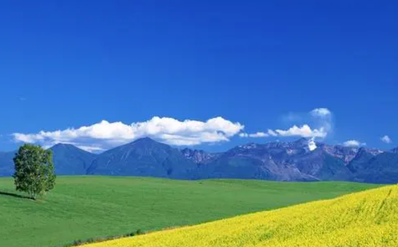 1709101323746794.png image.png